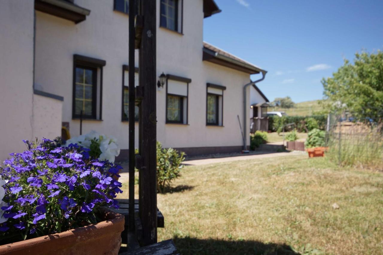 Ferienwohnungen Beim Fischer Und Sin Fru Klein Zicker Exterior photo